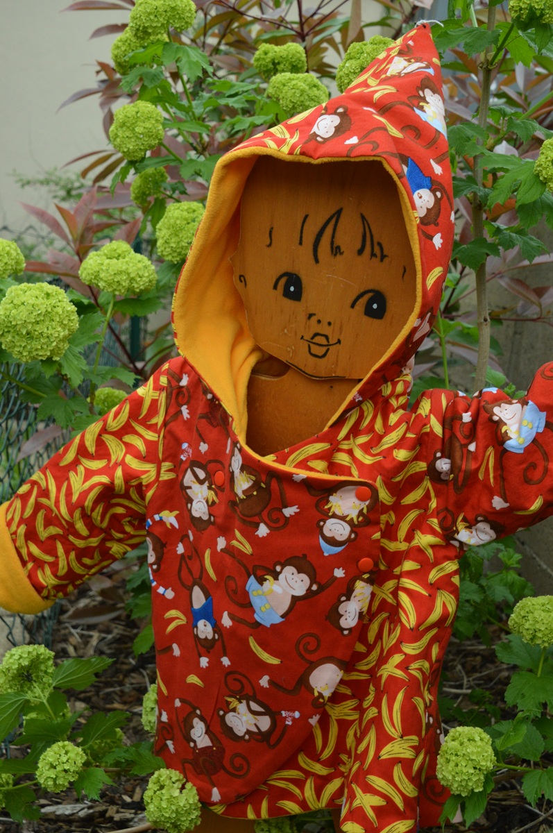 24 KORRIGAN singe banane